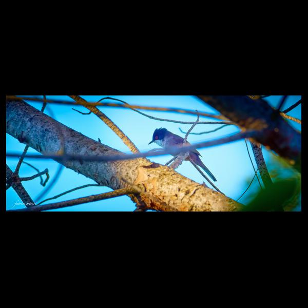 PHOTO84, CLUB, 84 , LUBERON